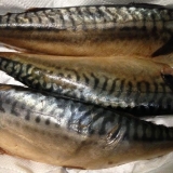 Hladno dimljena skuša: koliko se čuva u frižideru, kod kuće